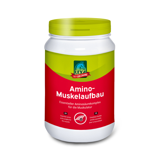 LEXA Amino-Muskelaufbau LEXA Amino-Muskelaufbau, essenzieller Aminosäurekomplex für die Muskulatur, in einer weißen Dose (Kunststoff) mit grünem Deckel.