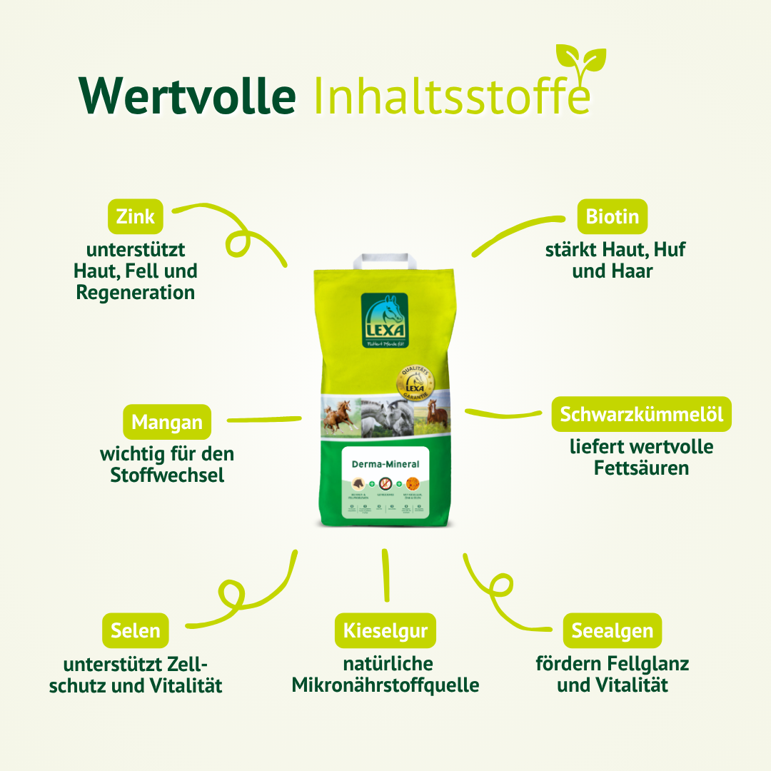 Wertvolle Inhaltsstoffe in LEXA Derma-Mineral wie Zink, Biotin, Selen und Kieselgur