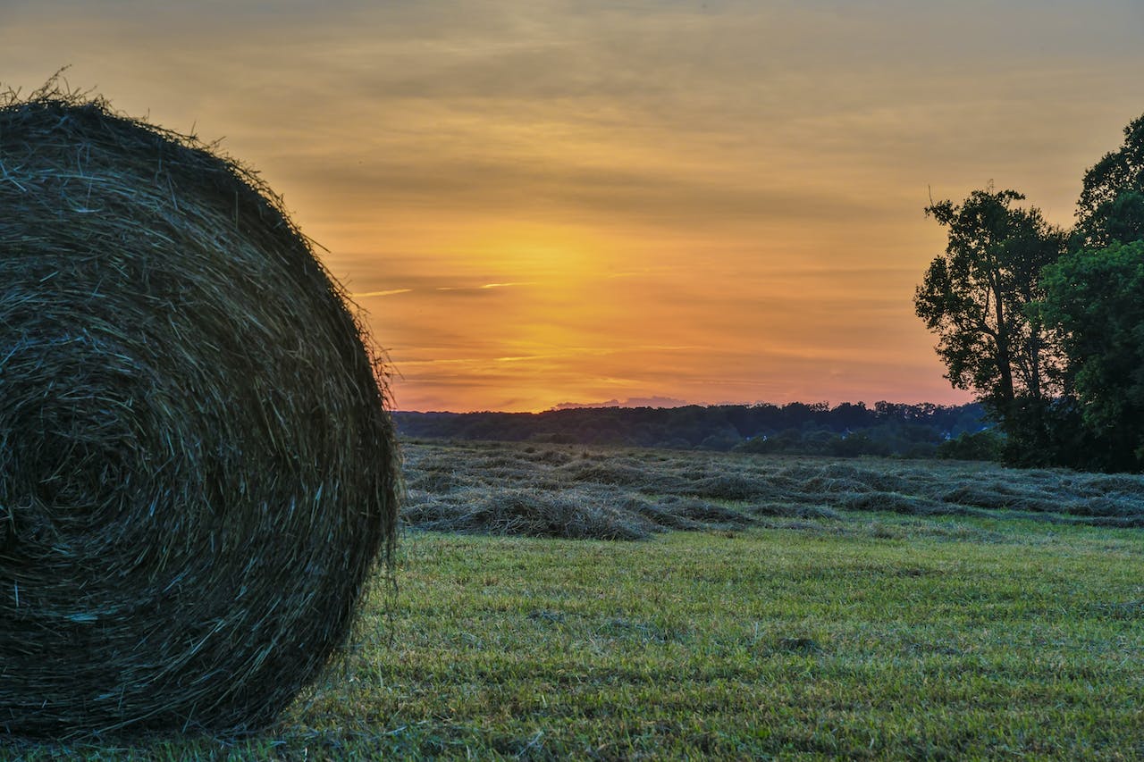 Heuballen bei Sonnenuntergang Ein großer Heuballen steht im Vordergrund, während die Sonne am Horizont untergeht und den Himmel in warmen Farben erleuchtet.