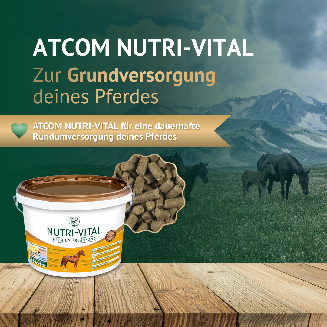ATCOM NUTRI-VITAL zur Grundversorgung deines Pferdes – Mineralfutter mit Pellets für die tägliche Rundum-Versorgung