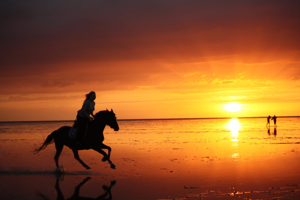 Reiter am Strand bei Sonnenuntergang Eine Person reitet auf einem Pferd am Strand während eines Sonnenuntergangs, mit reflektierendem Wasser und Silhouetten im Hintergrund.