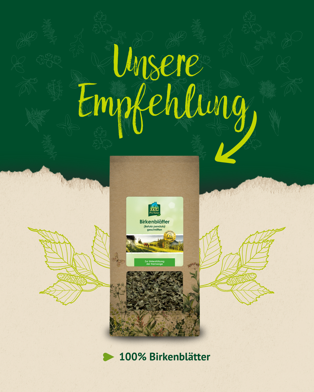 Produktbild getrocknete Birkenblätter für Pferde als natürliche Futterergänzung