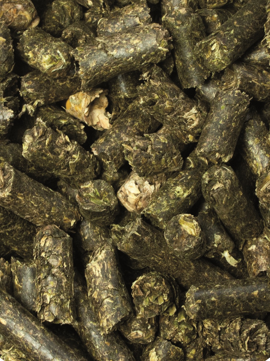 Getrocknete Pflanzenpellets Eine Nahaufnahme von kleinen, zylindrischen Pellets aus getrocknetem Pflanzenmaterial, überwiegend grünlich-braun.