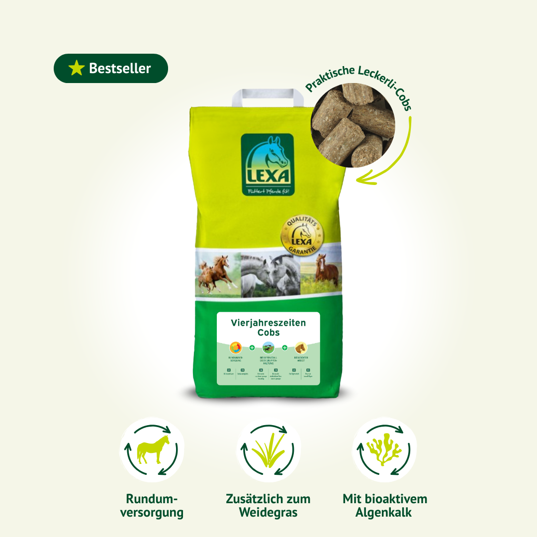 Werbegrafik für LEXA Vierjahreszeiten Cobs mit dem Label „Bestseller“, einem Foto der Futter-Pellets und Icons für Rundumversorgung, Weidegras-Ergänzung und Algenkalk.
