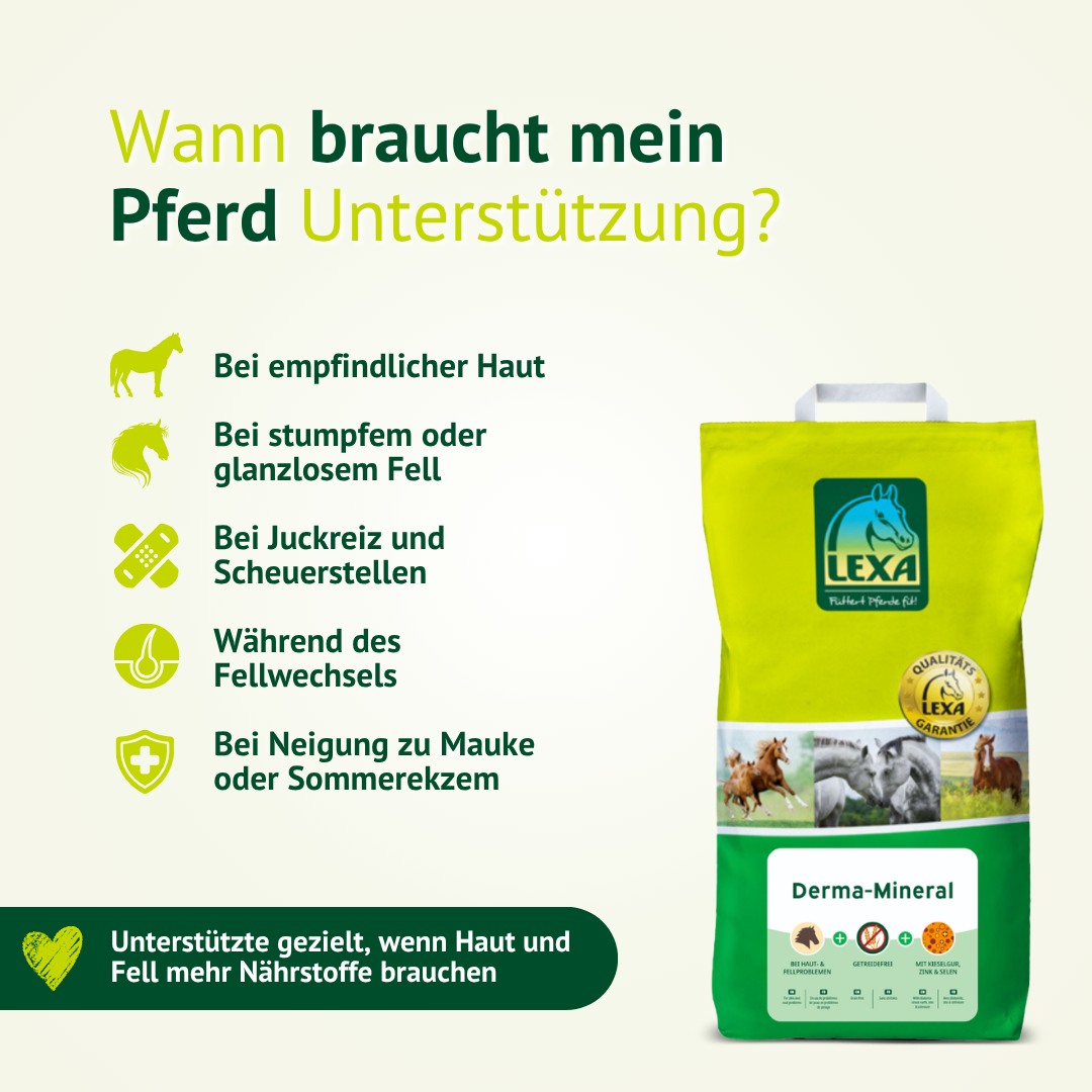 LEXA Derma-Mineral für Pferde mit empfindlicher Haut, stumpfem Fell oder Juckreiz