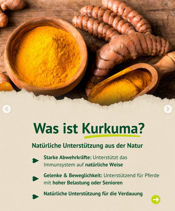 Aufgelistet werden drei Hauptvorteile: Stärkung der Abwehrkräfte, Unterstützung für Gelenke und Beweglichkeit (besonders für Senioren) sowie natürliche Hilfe für die Verdauung. Oben im Bild sind Schalen mit Kurkumapulver und frische Wurzeln zu sehen.