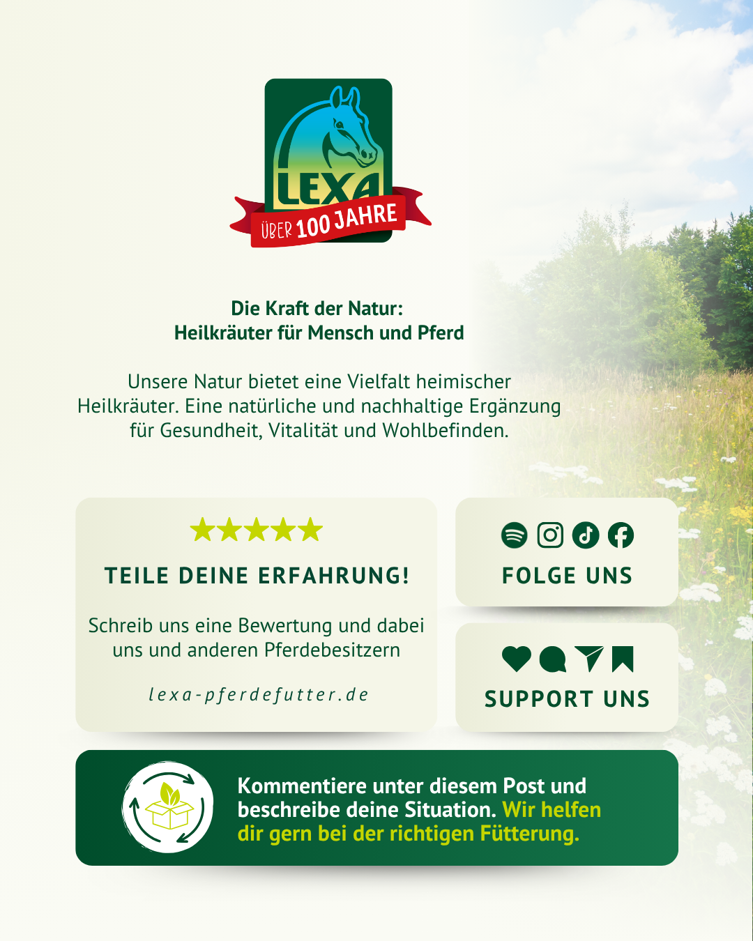 Abschlussgrafik von LEXA mit Logo, Naturhintergrund und Call-to-Actions. Die Grafik lädt dazu ein, eine Bewertung zu schreiben, LEXA auf Social Media zu folgen und unter dem Post die eigene Situation zu kommentieren.