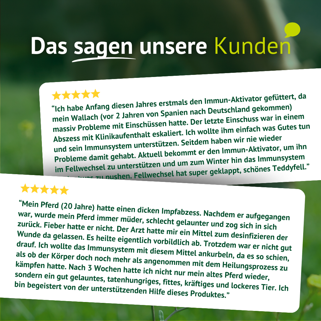 Zwei positive Kundenrezensionen mit 5-Sterne-Bewertung zur Wirksamkeit bei Einschüssen, Fellwechsel und Heilungsprozessen.