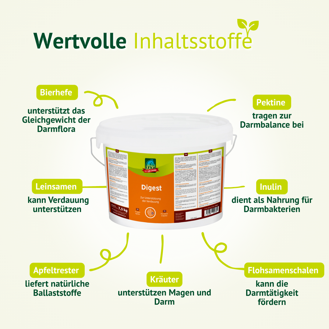 Inhaltsstoffe wie Kräuter, Ballaststoffe und natürliche Komponenten zur Unterstützung der Verdauung beim Pferd