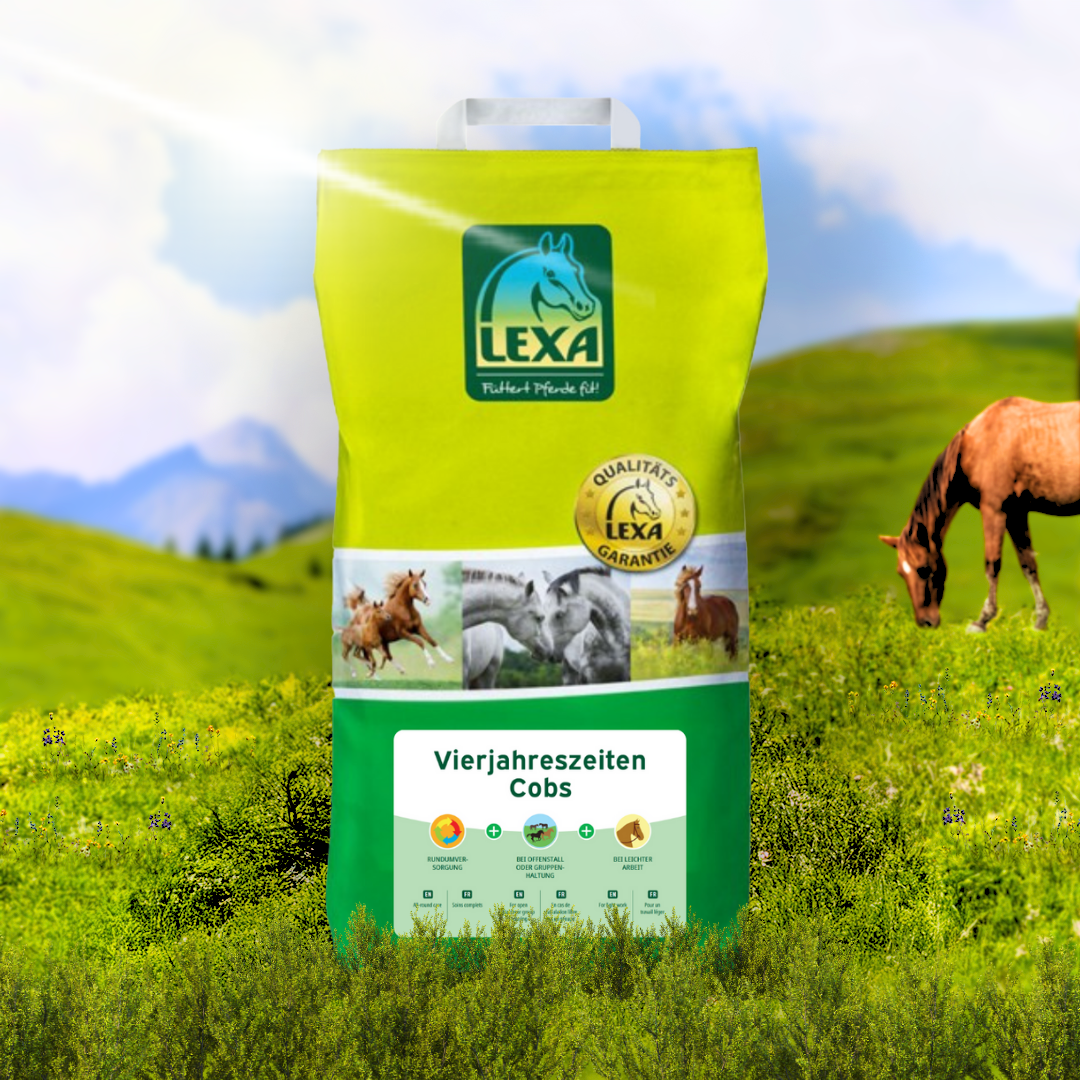Ein Sack LEXA Vierjahreszeiten Cobs steht im Fokus auf einer grünen Sommerweide mit einem grasenden Pferd im Hintergrund.