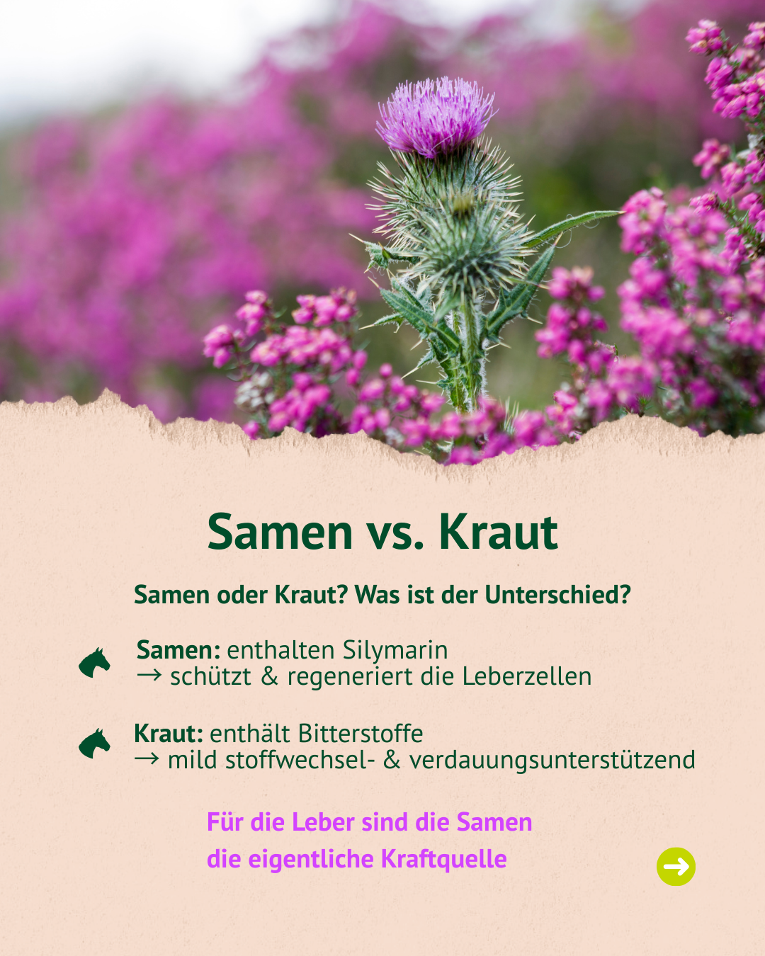 Bild mit Text und Foto Bild mit Text und Foto