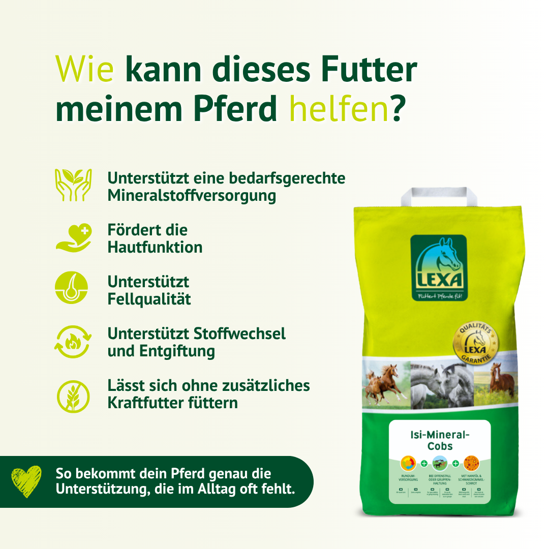 LEXA Isi-Mineral-Cobs unterstützen Mineralstoffversorgung, Hautfunktion, Fellqualität, Stoffwechsel und Entgiftung des Pferdes.