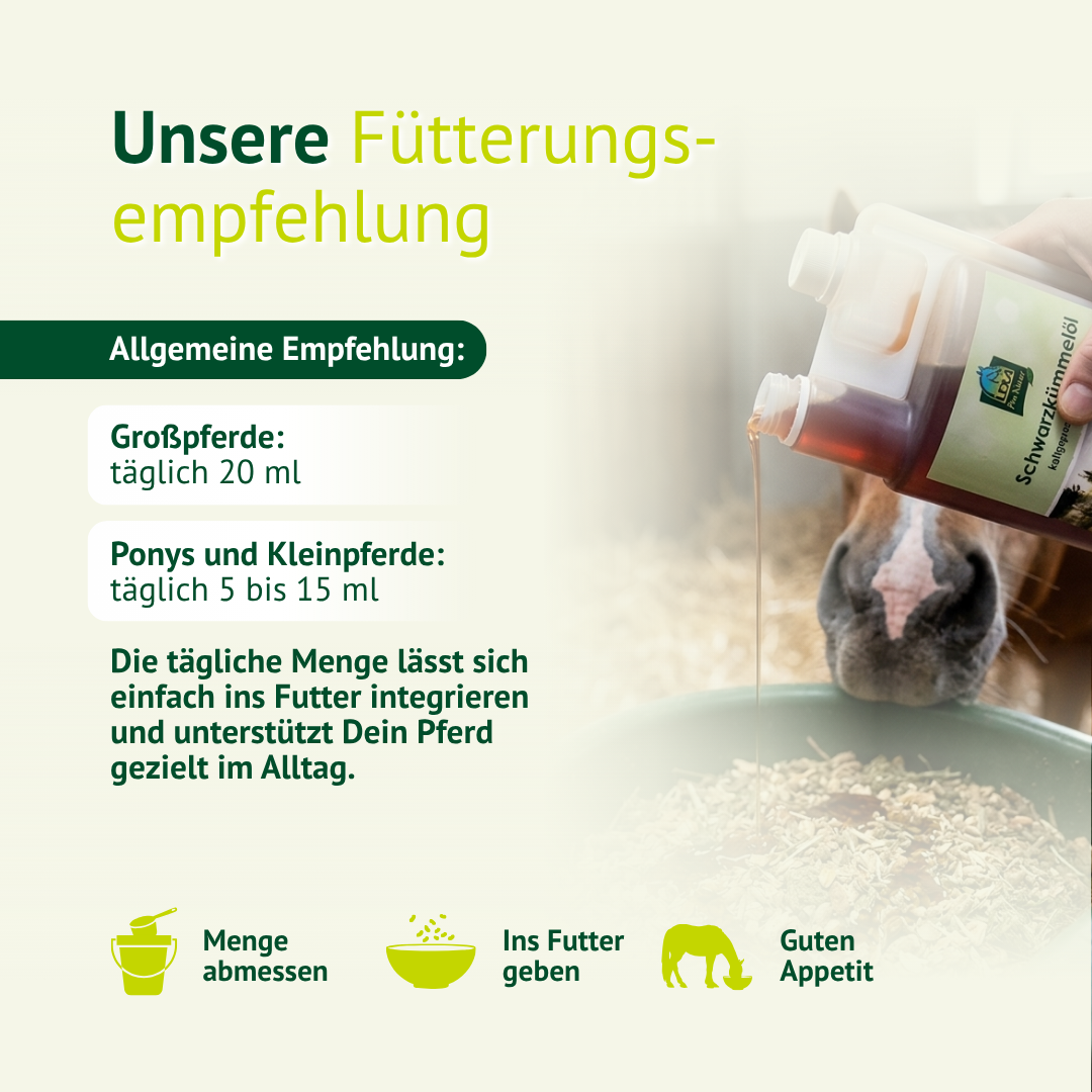 Fütterungsempfehlung Schwarzkümmelöl Pferd – richtige Dosierung für Großpferde und Ponys einfach ins Futter mischen