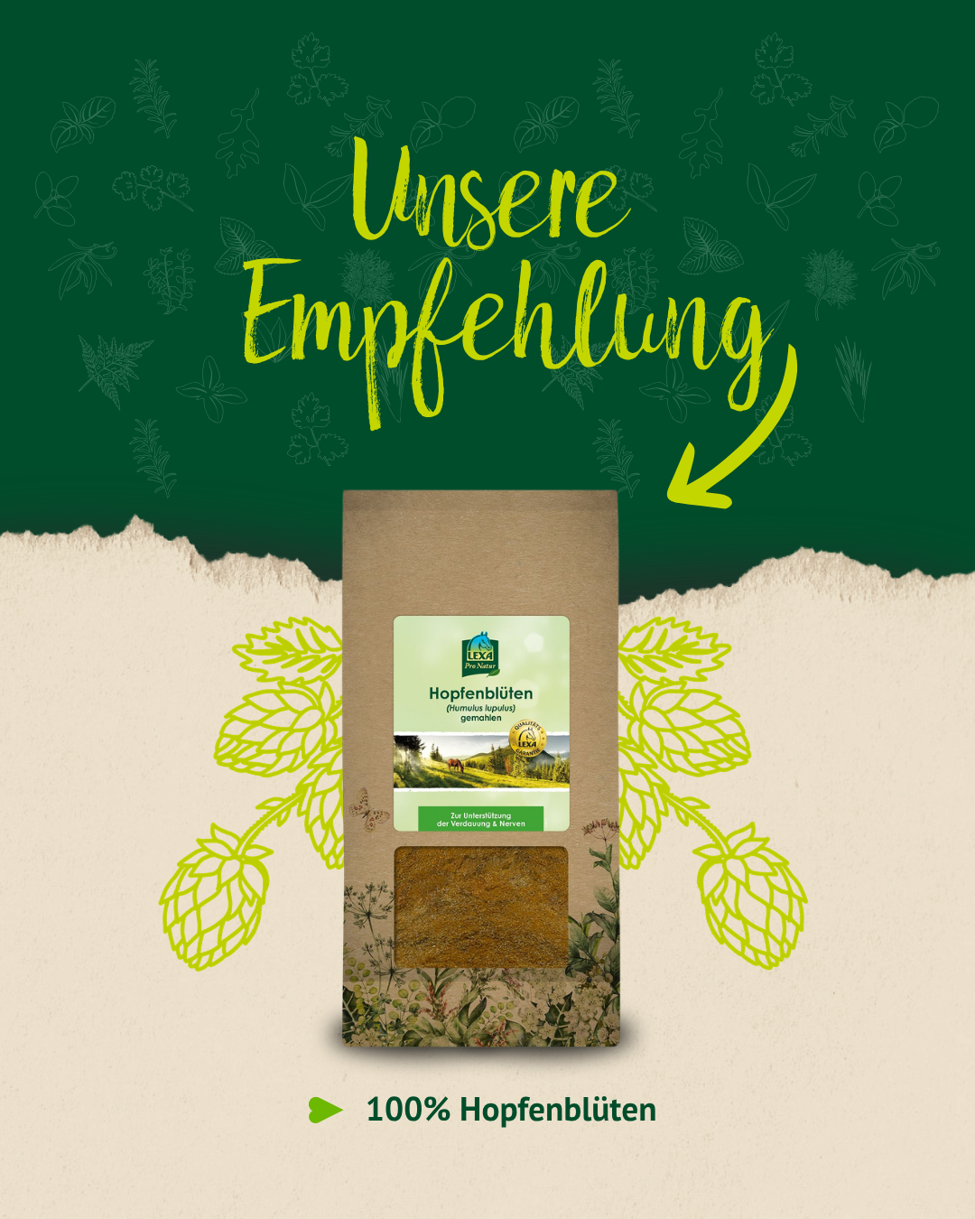 Produktempfehlung für 100 Prozent Hopfenblüten mit Produktverpackung auf grün-beigem Hintergrund.