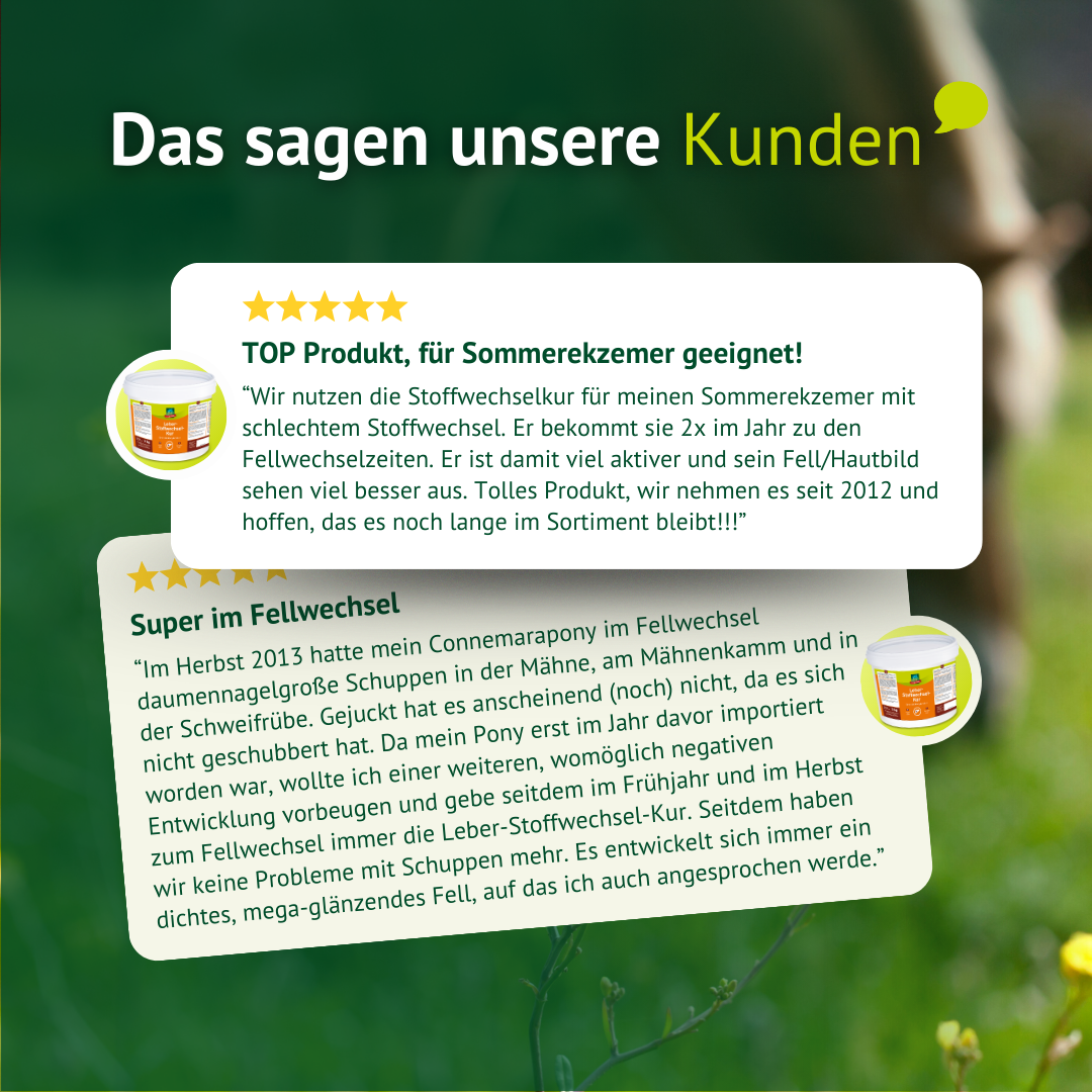 Kundenstimmen zur LEXA Leber-Stoffwechsel-Kur mit positiven Erfahrungen zu Fellwechsel, Wohlbefinden und Stoffwechselunterstützung beim Pferd.