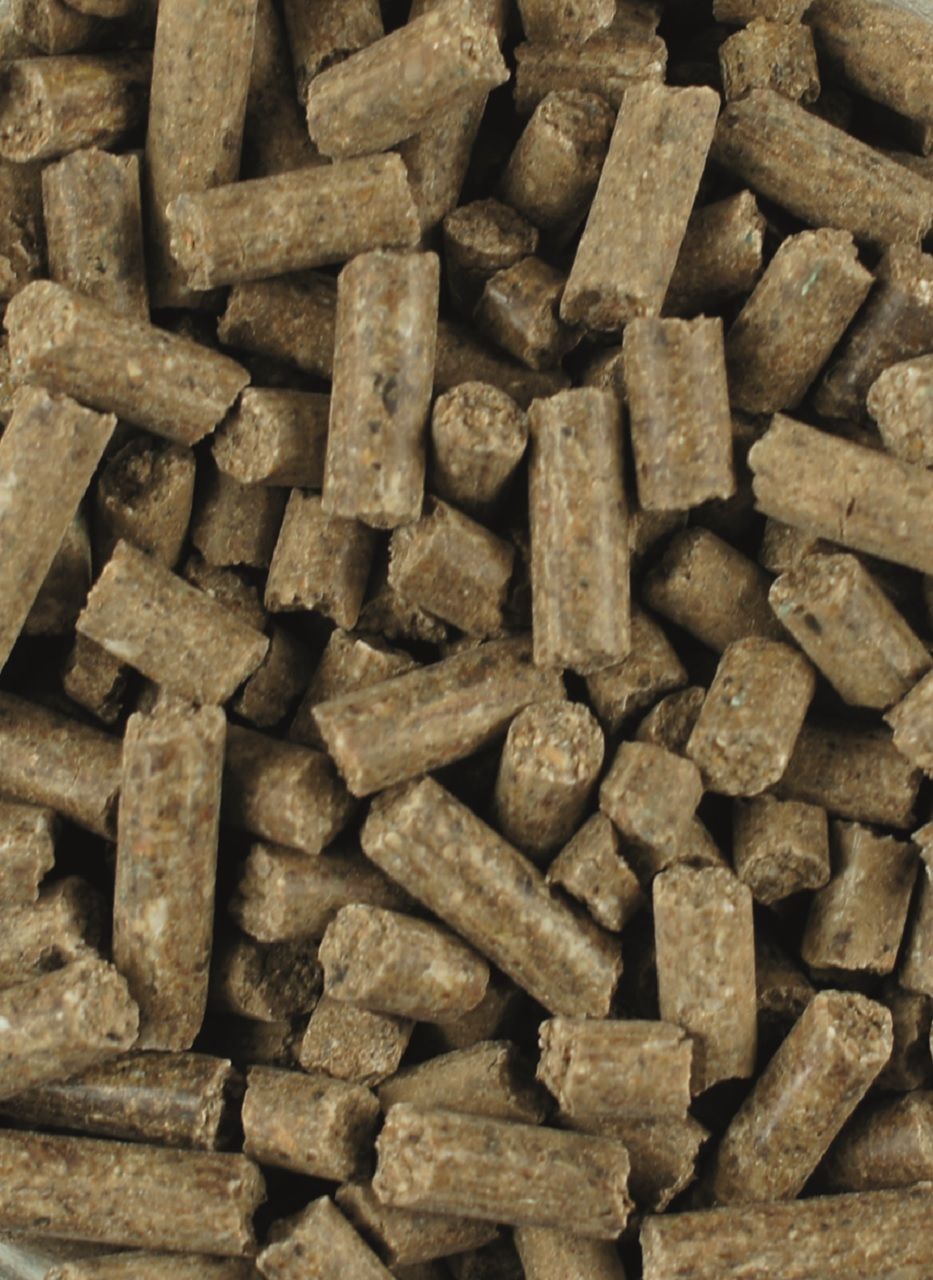 JuniorMineral jetzt kaufen LEXA